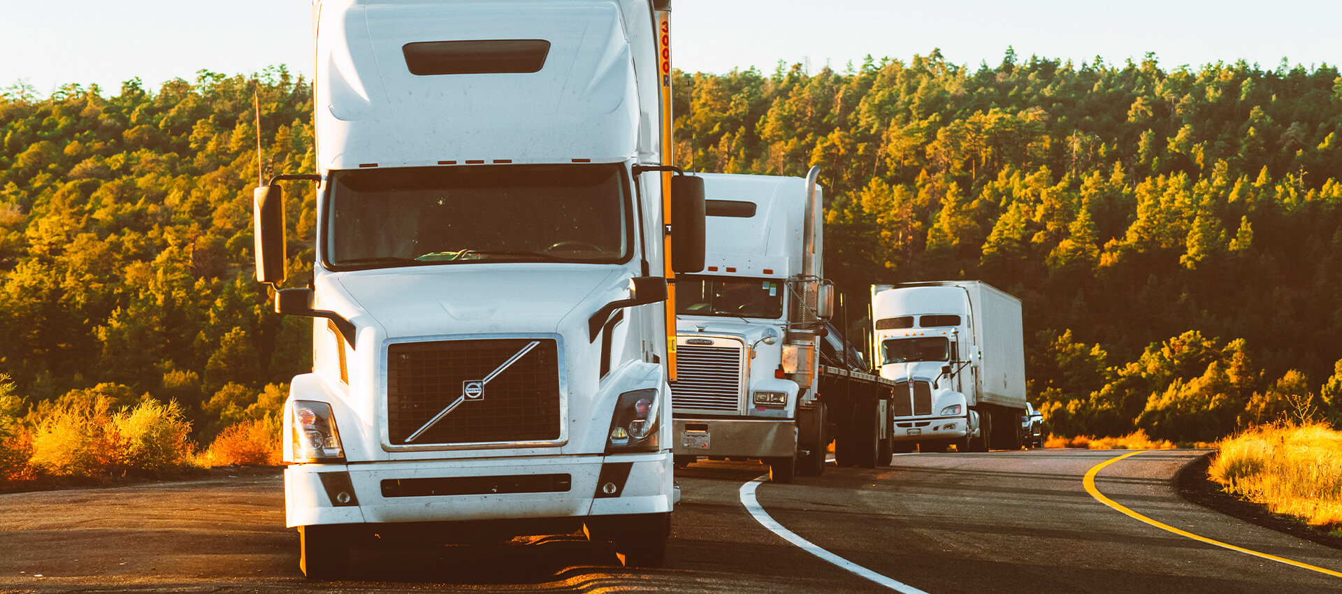 The Art and Science of Truck Driving at Logisticize, LTD